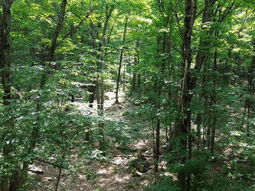 Autre - Ch. Du Cerf, Mont-Blanc, QC 