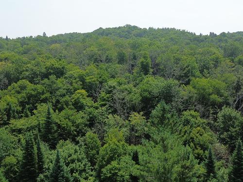 Photo aérienne - Ch. Du Cerf, Mont-Blanc, QC 