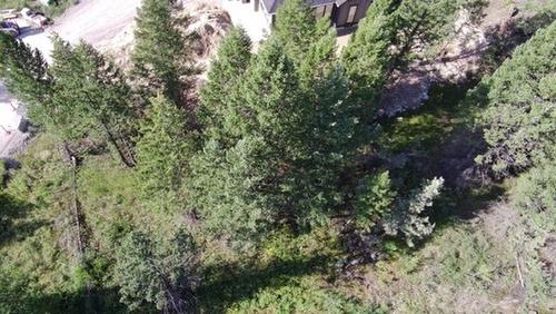 24 Cooper Road, Windermere, BC - Outdoor With View