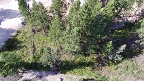 24 Cooper Road, Windermere, BC - Outdoor