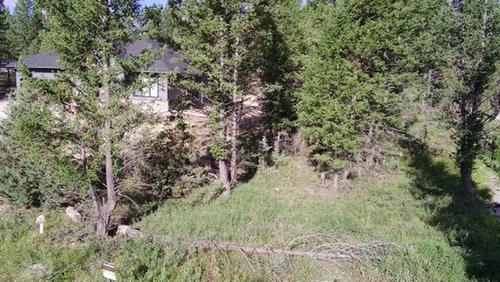 24 Cooper Road, Windermere, BC - Outdoor With View