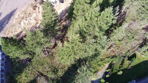 24 Cooper Road, Windermere, BC - Outdoor With View