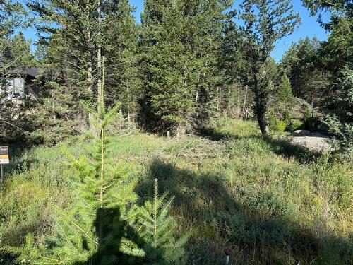 24 Cooper Road, Windermere, BC - Outdoor With View