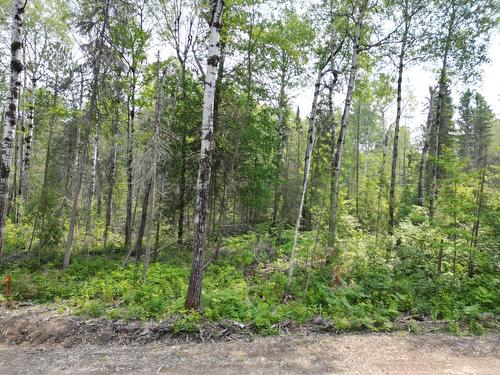 Terre/Terrain - Ch. Bibeau, Duhamel-Ouest, QC 