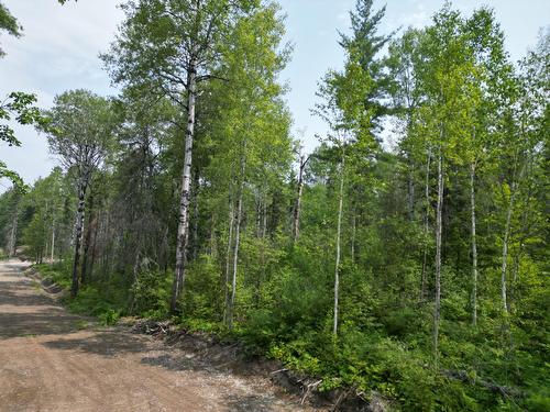 Terre/Terrain - Ch. Bibeau, Duhamel-Ouest, QC 