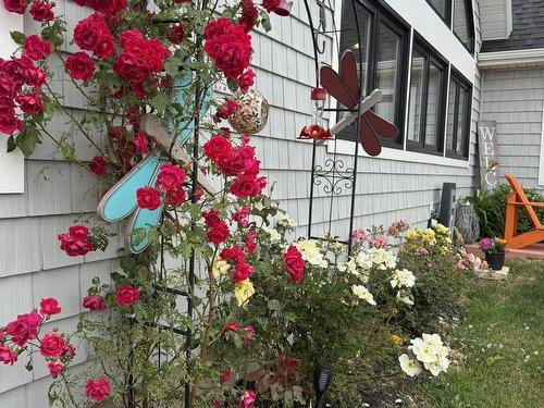 40 Stan Pearson Road, Stanley Bridge, PE 