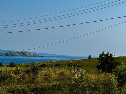 0 Skanes Road, Port De Grave, NL 