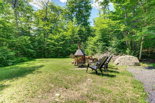 Cour - 230 Rue Du Sommet, Entrelacs, QC - Outdoor