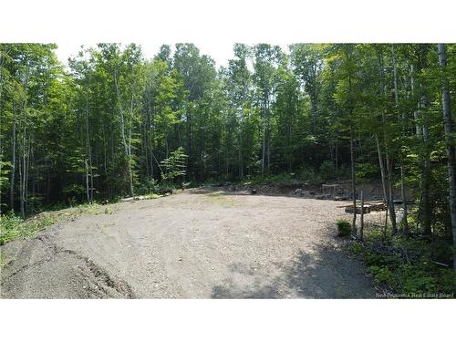 Lot Sormany, Sormany, NB 