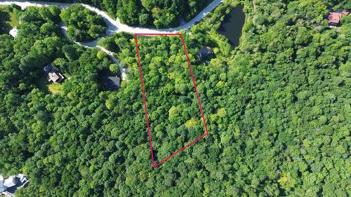 Terre/Terrain - Rue Des Plaines, Austin, QC 