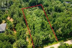 1979 CONCESSION M-N ROAD  Ramara, ON L0L 1T0