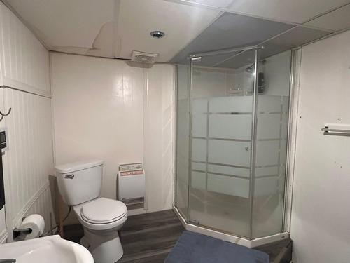 Salle de bains - 38 2E Avenue, Chapais, QC - Indoor Photo Showing Bathroom