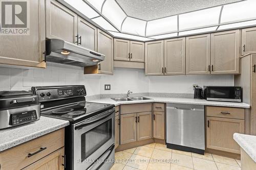 13 - 34 Dynasty Avenue, Hamilton (Stoney Creek), ON - Indoor Photo Showing Kitchen With Double Sink