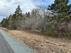 Lot 2 Shore Road  Western Head, NS B0T 1K0