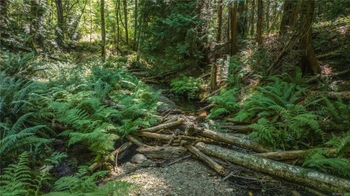 200 Linley Rd, Nanaimo, BC 