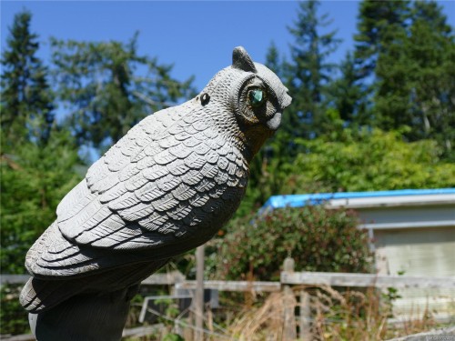 6637 Walker Frontage Rd, Fanny Bay, BC 