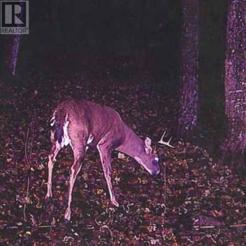 447 Mcphail Rd, Bruce Mines, ON 