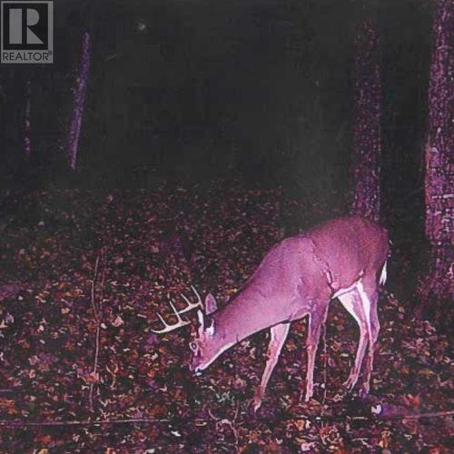 447 Mcphail Rd, Bruce Mines, ON 