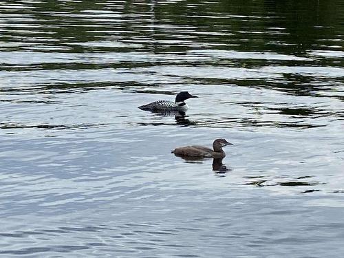 11 Lakeshore Drive, Aylesford Lake, NS 