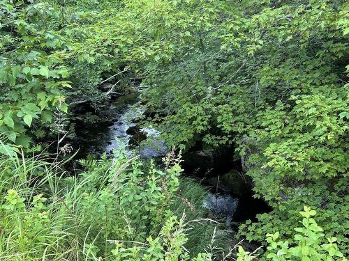 11 Lakeshore Drive, Aylesford Lake, NS 