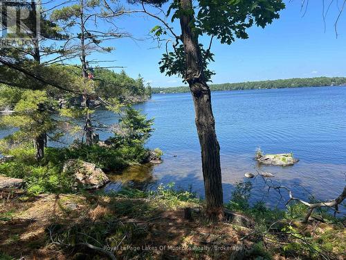 Lot 1 Bala Park Island, Muskoka Lakes (Medora), ON 
