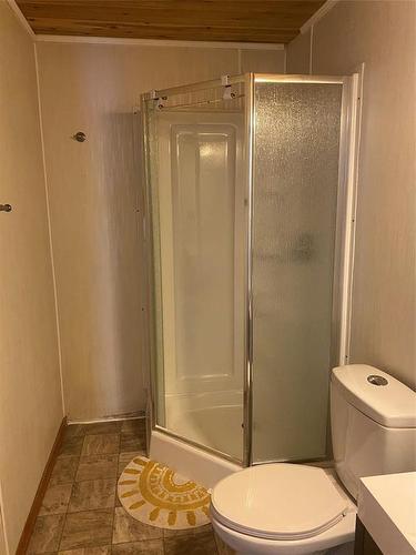 25 Machray Avenue W, Crystal City, MB - Indoor Photo Showing Bathroom