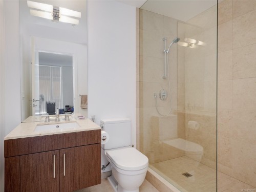 206-100 Saghalie Rd, Victoria, BC - Indoor Photo Showing Bathroom