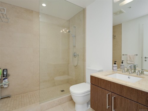 206-100 Saghalie Rd, Victoria, BC - Indoor Photo Showing Bathroom