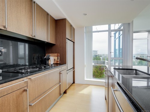 206-100 Saghalie Rd, Victoria, BC - Indoor Photo Showing Kitchen