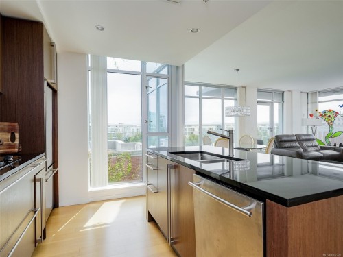 206-100 Saghalie Rd, Victoria, BC - Indoor Photo Showing Kitchen With Double Sink With Upgraded Kitchen