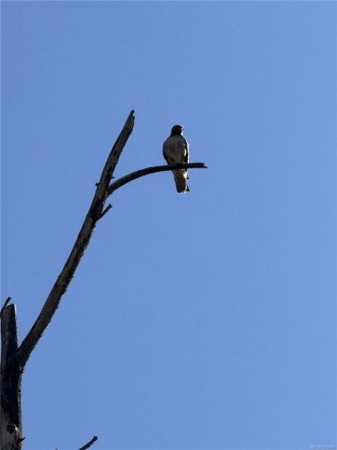 2120 Huddington Rd, Nanaimo, BC 