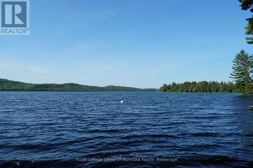 1173 Lake Of Two Rivers, South Algonquin, ON - Outdoor With Body Of Water With View