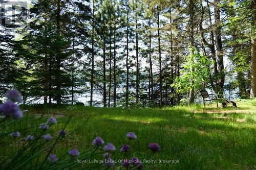 1173 Lake Of Two Rivers, South Algonquin, ON - Outdoor