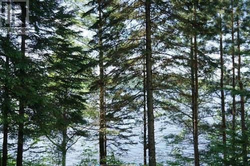 1173 Lake Of Two Rivers, South Algonquin, ON - Outdoor With View