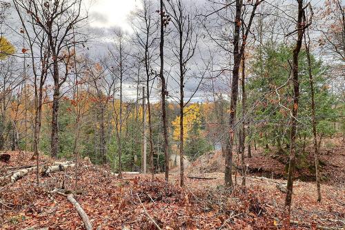Terre/Terrain - 30 Ch. J1A, La Pêche, QC 