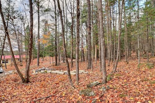 Terre/Terrain - 30 Ch. J1A, La Pêche, QC 