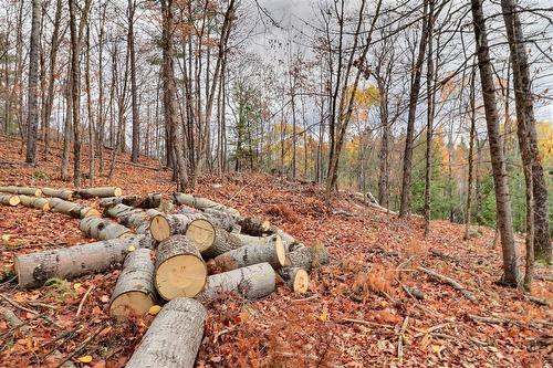 Terre/Terrain - 30 Ch. J1A, La Pêche, QC 