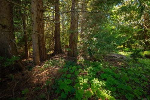 1271 Ganske Rd, Qualicum Beach, BC 