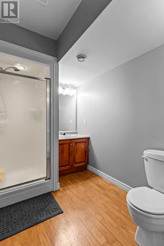 162 Tuckers Hill Road, Portugal Cove/St. Philips, NL - Indoor Photo Showing Bathroom