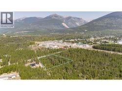 990 CRANBERRY LAKE ROAD  Valemount, BC V0E 2Z0