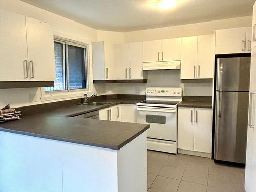 Kitchen - 178 Boul. Thompson, Montréal (Saint-Laurent), QC - Indoor Photo Showing Kitchen With Double Sink