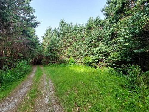 26 Acre 247 Highway, L'Ardoise, NS 