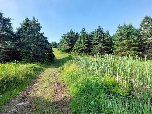26 Acre 247 Highway, L'Ardoise, NS 