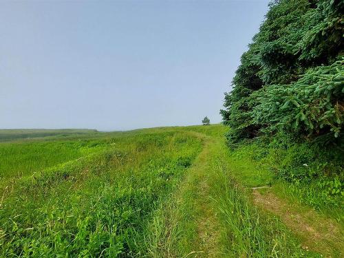 26 Acre 247 Highway, L'Ardoise, NS 