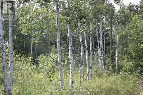 380 Highway 15, Rideau Lakes, ON 