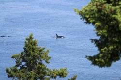 198 Heritage Dr  Nanaimo, BC V9V 1J9