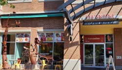 103-225 Menzies St  Victoria, BC V8V 2G6