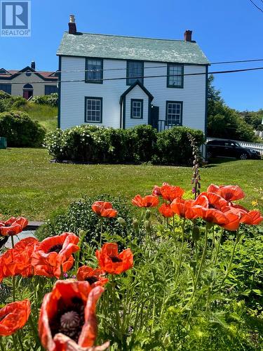 19 West Street, Trinity, NL - Outdoor
