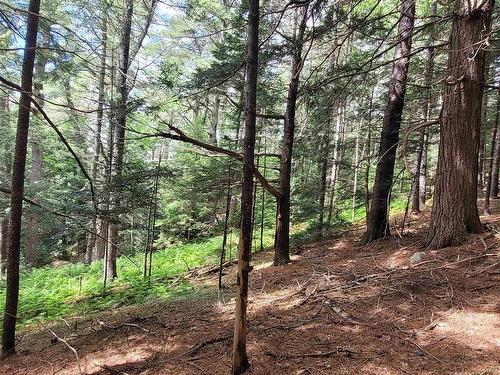 221 Highway 8, Milton, NS 