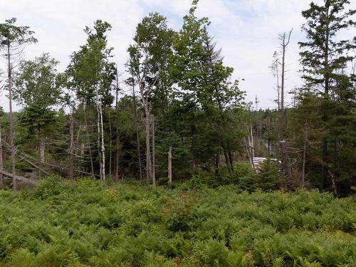 Lot 61 & 62 Bald Eagle Lane, Mill Cove, PE 